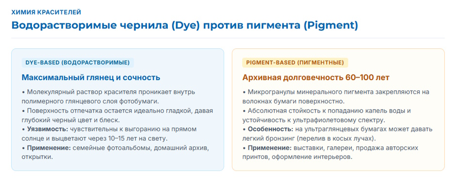 Рейтинг фотопринтеров 2026 года: 5 классов устройств под разные задачи печати