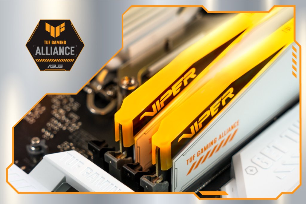 Viper Elite 5 RGB TUF Gaming Alliance DDR5